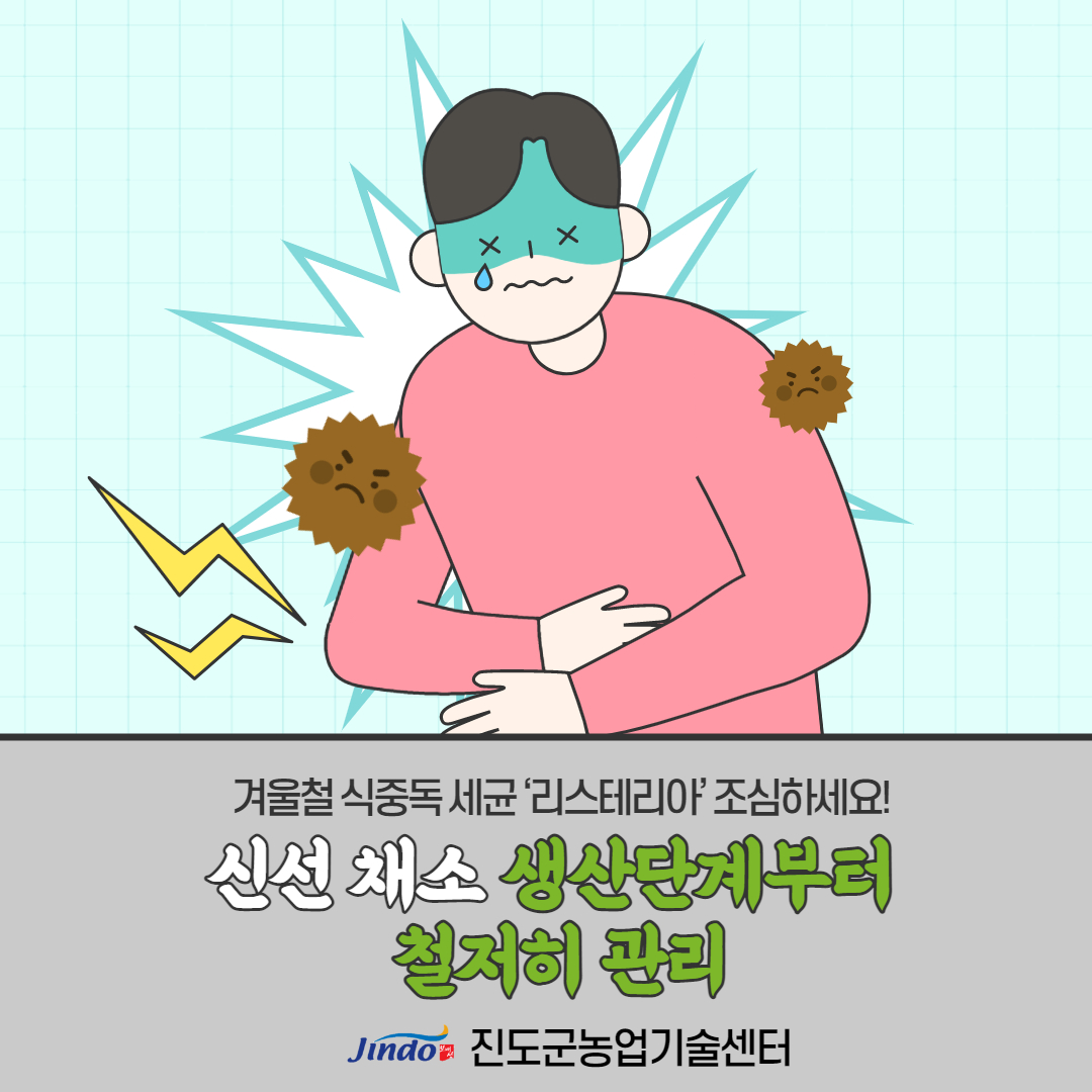 겨울철 식중독 세균 '리스테리아' 조심하세요! 신선 채소 생산단계부터 철저히 관리 Jindo 진도군농업기술센터