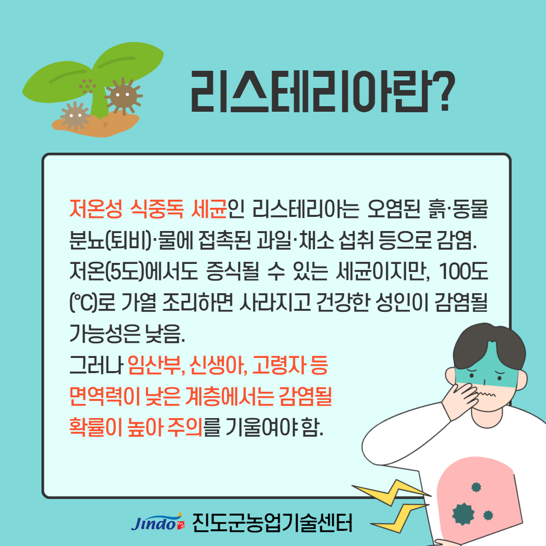 리스테리아란? 저온성 식중독 세균인 리스테리아는 오염된 흙·동물 분뇨(퇴비물에 접촉된 과일·채소 섭취 등으로 감염. 저온(5도)에서도 증식될 수 있는 세균이지만, 100도(°C)로 가열 조리하면 사라지고 건강한 성인이 감염될 가능성은 낮음. 그러나 임산부, 신생아, 고령자 등 면역력이 낮은 계층에서는 감염될 확률이 높아 주의를 기울여야함. Jindo 진도군농업기술센터