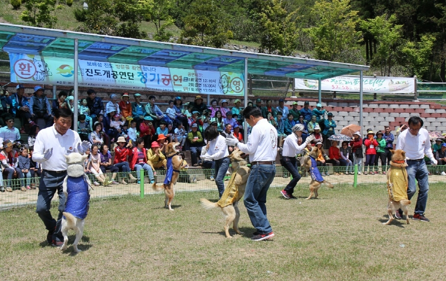 진도개공연.jpg