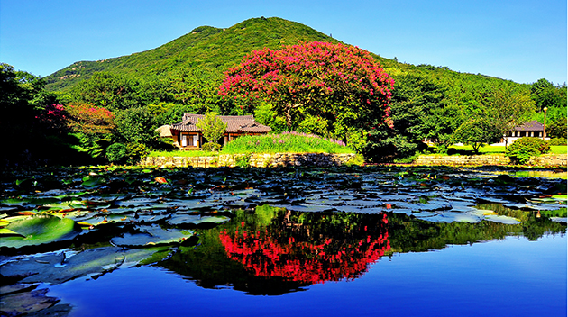 운림산방_03.jpg