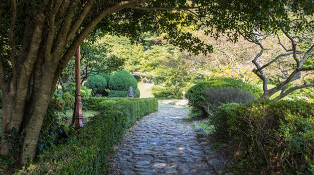 운림산방_04.jpg