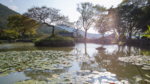 운림산방_06.jpg