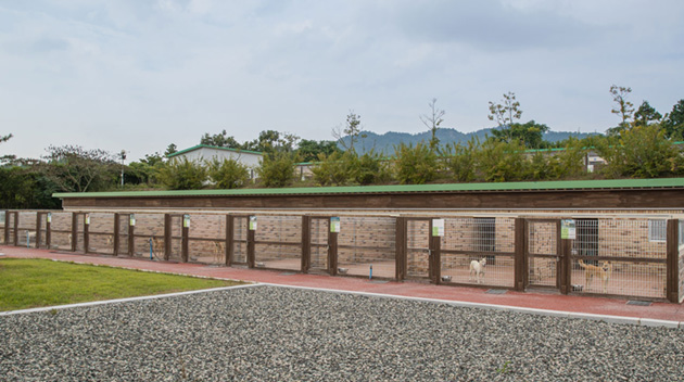 info06_04.jpg
